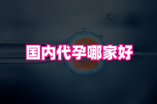 长春助孕网 1