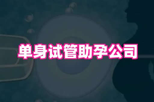 长春助孕网 3